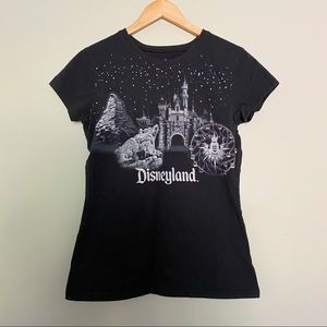 Disneyland Park Top